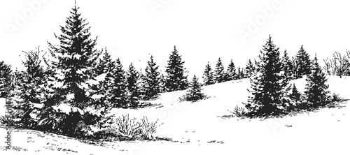 Snow covered pine trees sketch, hand drawn winter landscape with evergreen forest and snowy ground. Vector illustration