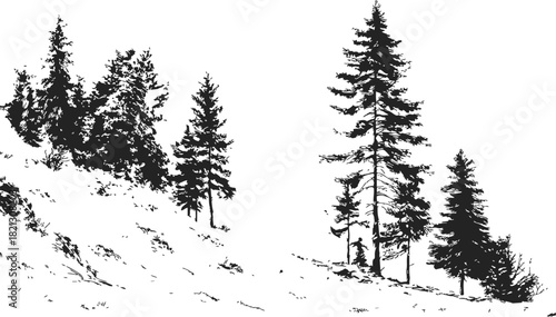 Pine trees, hand drawn sketch forest landscape with coniferous silhouettes. Vector illustration