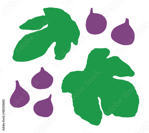Hand-drawn fig leaves and fruits in a simple stylized design. Imperfect, organic flat shapes with uneven edges