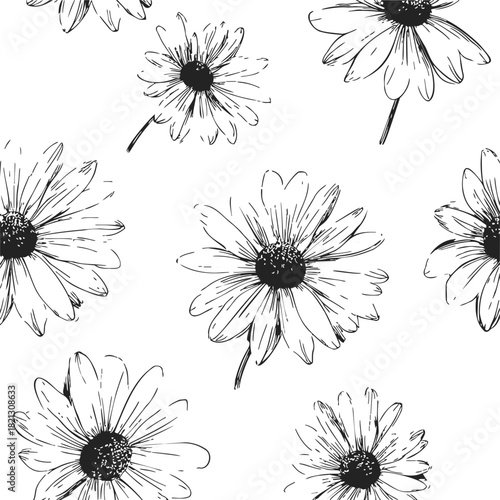 Daisy flowers seamless pattern, sketch hand drawn style, black line art on white background. Vector illustration