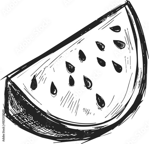 Watermelon slice sketch, hand drawn vector with seeds and textured rind. Vector illustration