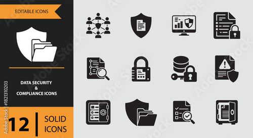 12 Data Security and Compliance Icons solid icon set. Solid data privacy icons for compliance and information safety