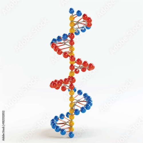 Realistic 3D DNA Double Helix Model, High-Detail Molecular Structure with Color-Coded Nucleotides and Twisting Ladder Design, Isolated on a Clean White Background for Scientific and Educational Use.