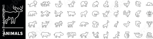 Animals line icons. Set of outline icons related to animals and pets. Animals thin line icons collection. Animal logo set