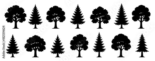 Tree silhouette set. Shapes created with high quality. Oak and pine forms appear in natural balanced shapes with bold clean outlines