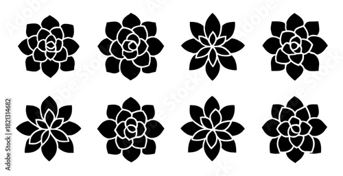 Succulent rosette silhouettes. Shapes created with high quality. Circular layered petals appear in clean geometric plant structures