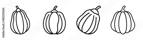 Illustration of fresh zucchini squash vegetable line art for healthy eating and cooking recipes