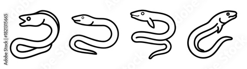 Eel illustration set, cartoon eel drawing, black and white eel image, aquatic animal art