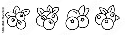 Vector illustration of fresh blueberry clusters with leaves for healthy eating and design use