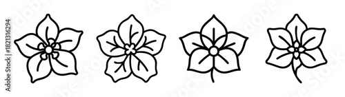 Vector floral design elements: outline flower drawing for botanical illustration and decoration use