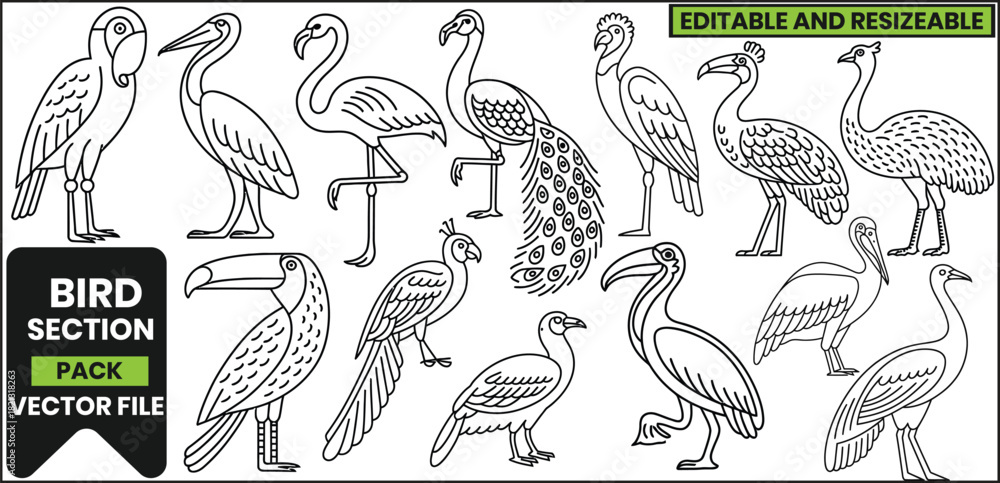 Obraz premium Exotic Birds Line Art Pack with Tropical Animals .