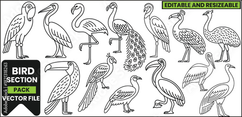 Exotic Birds Line Art Pack with Tropical Animals .