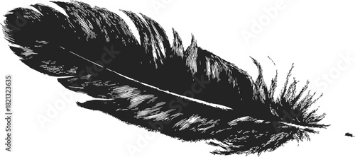 Black feather sketch, hand drawn detailed illustration with textured lines. Vector illustration