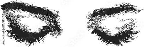 Closed eyes sketch, hand drawn vector with detailed eyelashes and brows. Vector illustration