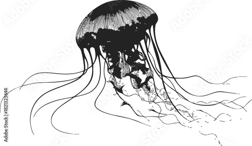 Jellyfish sketch hand drawn with long flowing tentacles in black and white. Vector illustration