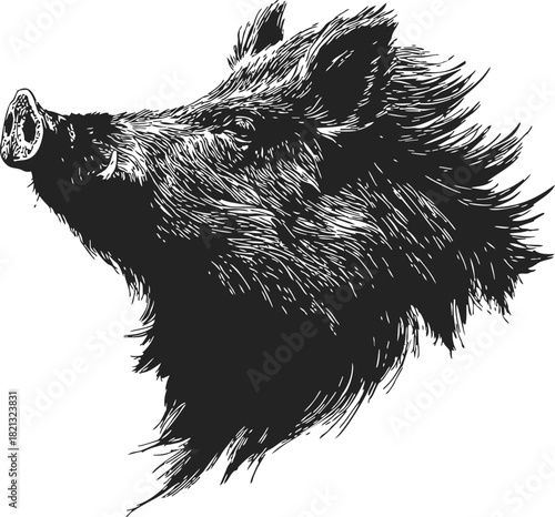Wild boar head sketch, hand drawn style, detailed animal portrait, side profile. Vector illustration