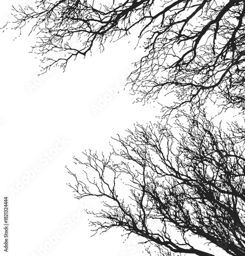 Wallpaper Mural Bare tree branches sketch hand drawn silhouette on white background. Vector illustration Torontodigital.ca