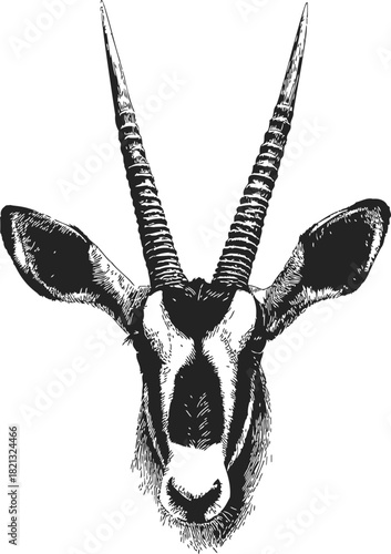 Antelope head sketch, hand drawn vector, detailed symmetrical portrait with long horns. Vector illustration