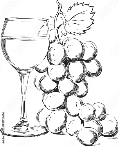 Grapes and wine glass sketch, hand drawn line art with leaf detail. Vector illustration