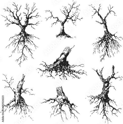 Bare tree sketch hand drawn set with exposed roots and leafless branches. Vector illustration