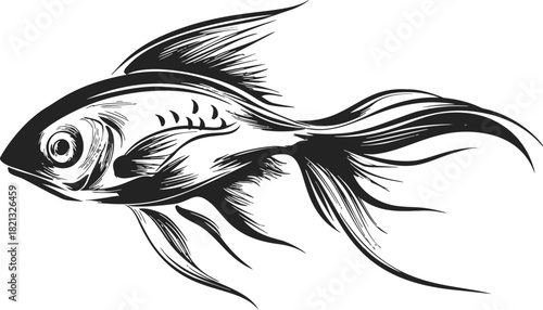 Fish sketch hand drawn vector illustration with flowing fins and detailed line art. Vector illustration