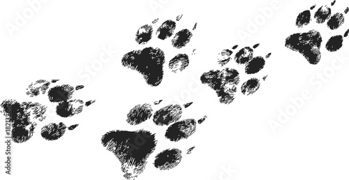 Wallpaper Mural Dog paw prints sketch, hand drawn animal tracks in diagonal walking pattern. Vector illustration Torontodigital.ca