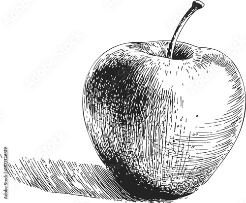Apple, hand drawn sketch with cross-hatching shading and stem detail. Vector illustration