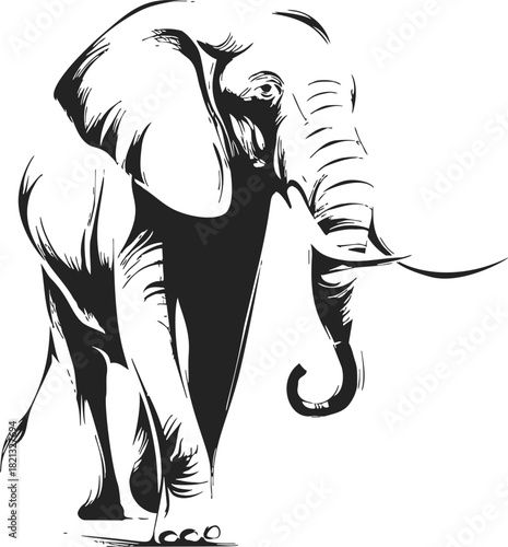 Elephant sketch hand drawn style with bold black lines and minimal shading. Vector illustration