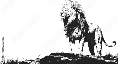 Lion sketch hand drawn standing on rock with mane blowing in wind. Vector illustration