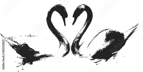 Swans sketch hand drawn forming heart with necks, romantic minimalistic composition. Vector illustration