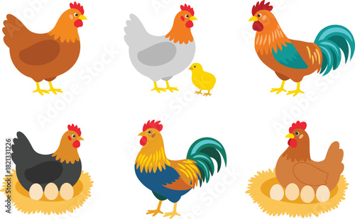 farm chicken and rooster vector illustration set, showing hens with chicks and eggs for agriculture education, animal farming graphics, children books and infographic design