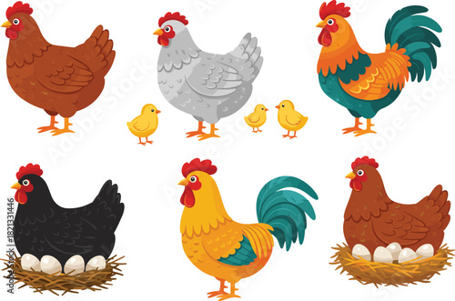 farm chicken and rooster vector illustration set, showing hens with eggs and chicks for agriculture education, animal farming graphics, children books, and infographic design