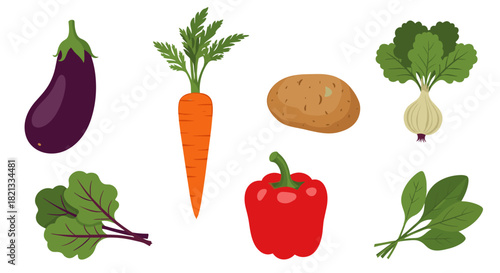 A diverse collection of fresh and colorful vegetables including eggplant, carrots, potatoes, bell pepper, radish, chard, and spinach.