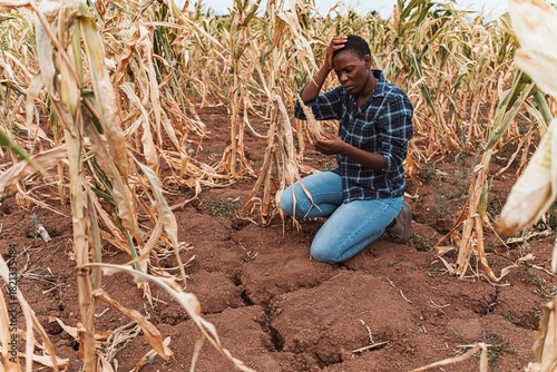 African farmer worried about her corn crop destroyed by drought