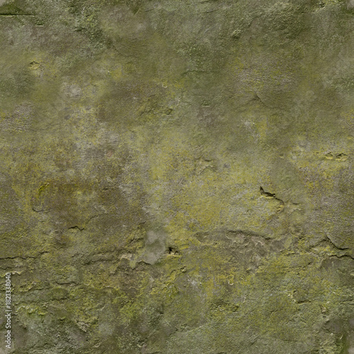 Grunge Detailed Old Cement Wall Texture with Moss and Lichen Background