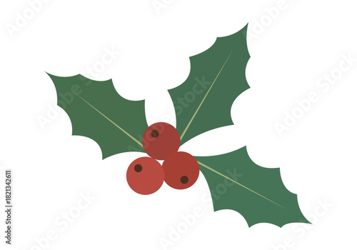 Hojas de acebo con bayas rojas para navidad