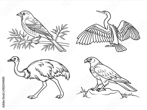 coloring page line art the animal black vector bundle