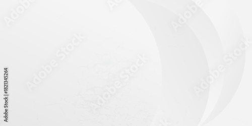 Abstract white smooth,curve,wave element modern background. Vector illustration for cover,banner,template,wallpaper