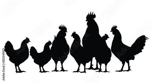 A silhouette of a rooster and several hens standing closely together
