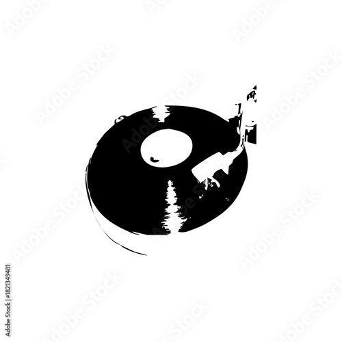 vinyl record player