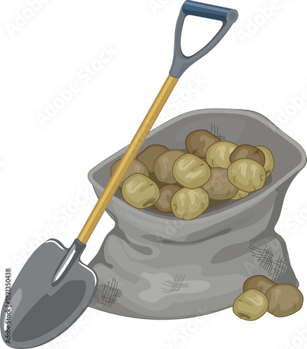 Shovel, sack of potatoes and potatoes isolated on white backgroun	