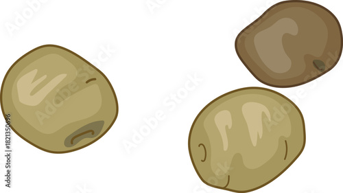 Potato tubers isolated on white background