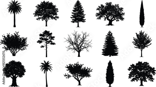 Collection of High-Quality Vector Tree Silhouettes, Including Palms, Bushes, Shrubs, Cypress, and 