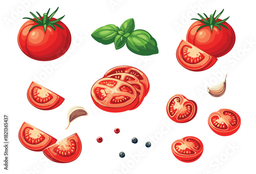Set of different tomato slices on a white background. Vector illustration