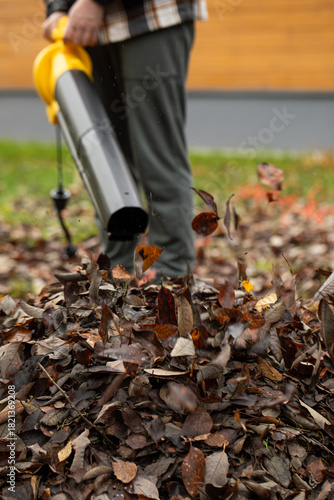 Wallpaper Mural Cordless Leaf Blowers. handheld, cordless, electric leaf blower in a garden, selective focus. Autumn, fall gardening works in a backyard, on a lawn, grass. Garden works. Torontodigital.ca