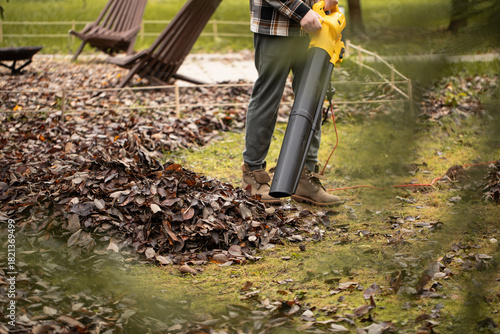 Cordless Leaf Blowers. handheld, cordless, electric leaf blower in a garden, selective focus. Autumn, fall gardening works in a backyard, on a lawn, grass. Garden works.
