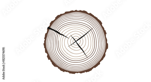 Tree trunk cross-section with growth rings and natural texture  