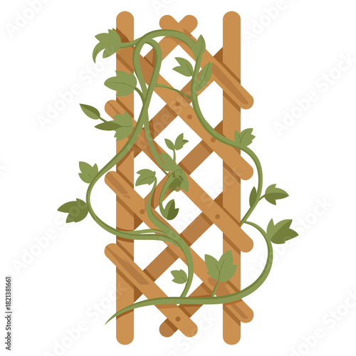 Illustration of a green vine plant growing on a brown wooden garden trellis isolated on white background