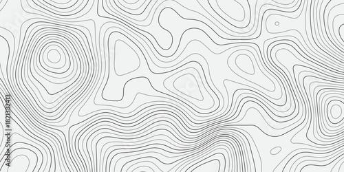 Abstract topographic contour pattern with smooth flowing lines on a clean light background. Modern minimal design texture ideal for wallpapers, branding, packaging, and contemporary graphic projects.