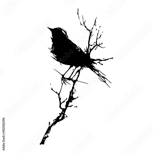 Grunge bird silhouette on a branch black ink hand drawn vector illustration
